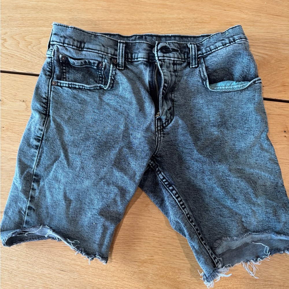 Levi's Men's Green Gray Jean Shorts